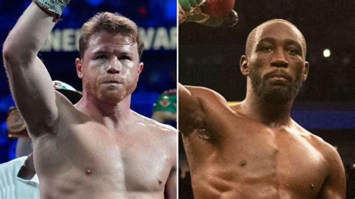 
Canelo Alvarez Weight Loss Before And After 